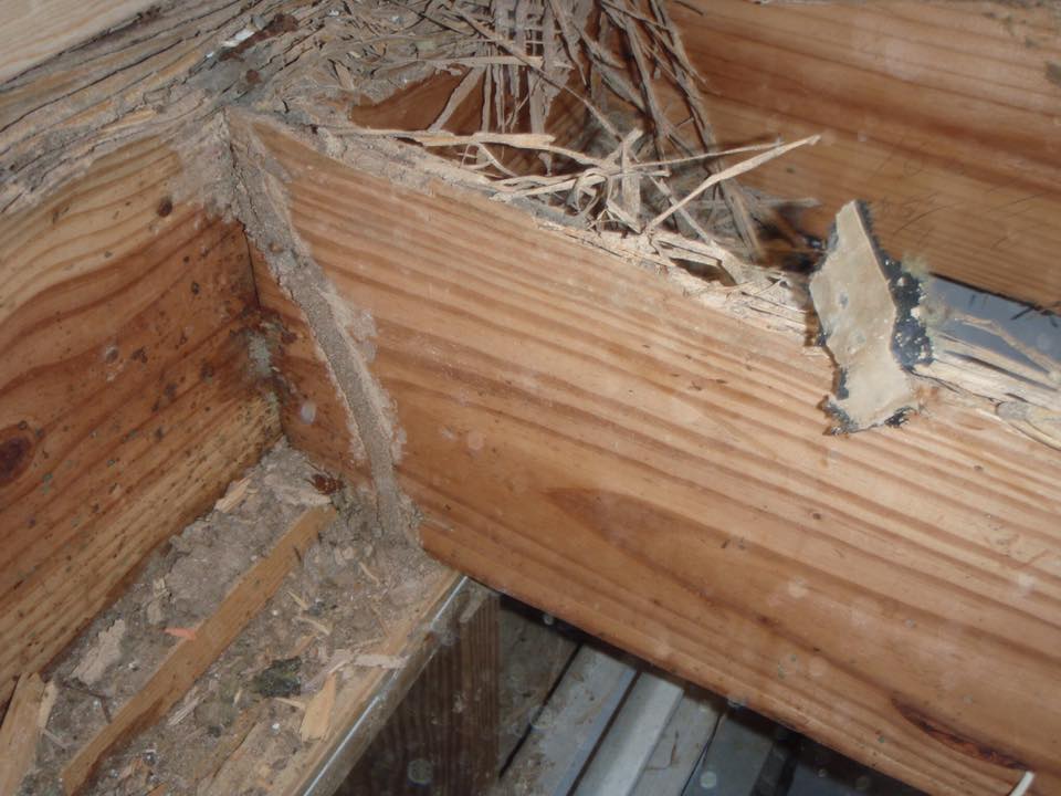 Barfield Home Inspections electrical inspection photo 14